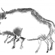 Reproduction of cave art representing a Steppe bison. (Image: Carole Fritz and Gilles Tosello)